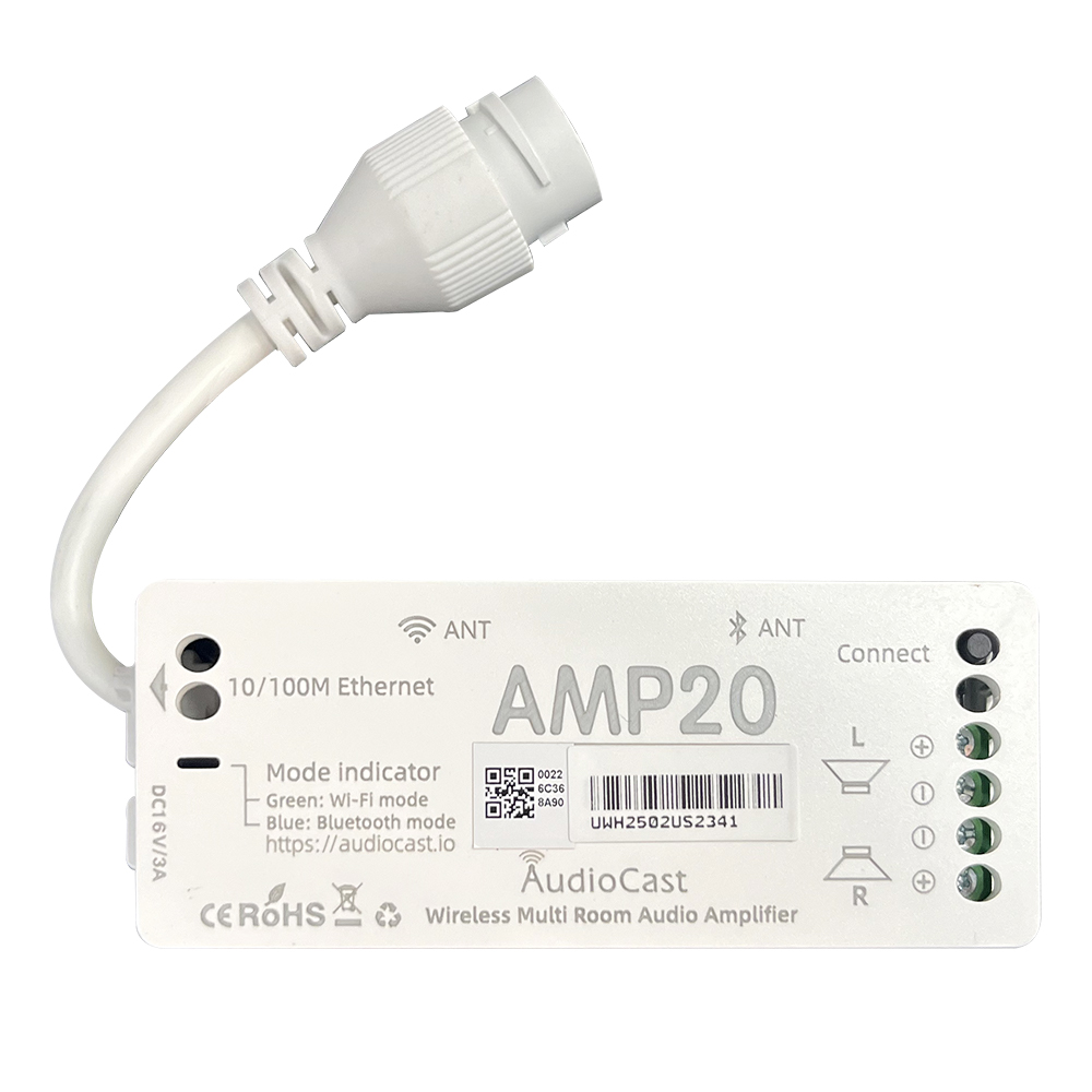 Home Cinema System - iEAST AMP 20 Настенный многокомнатный потоковый