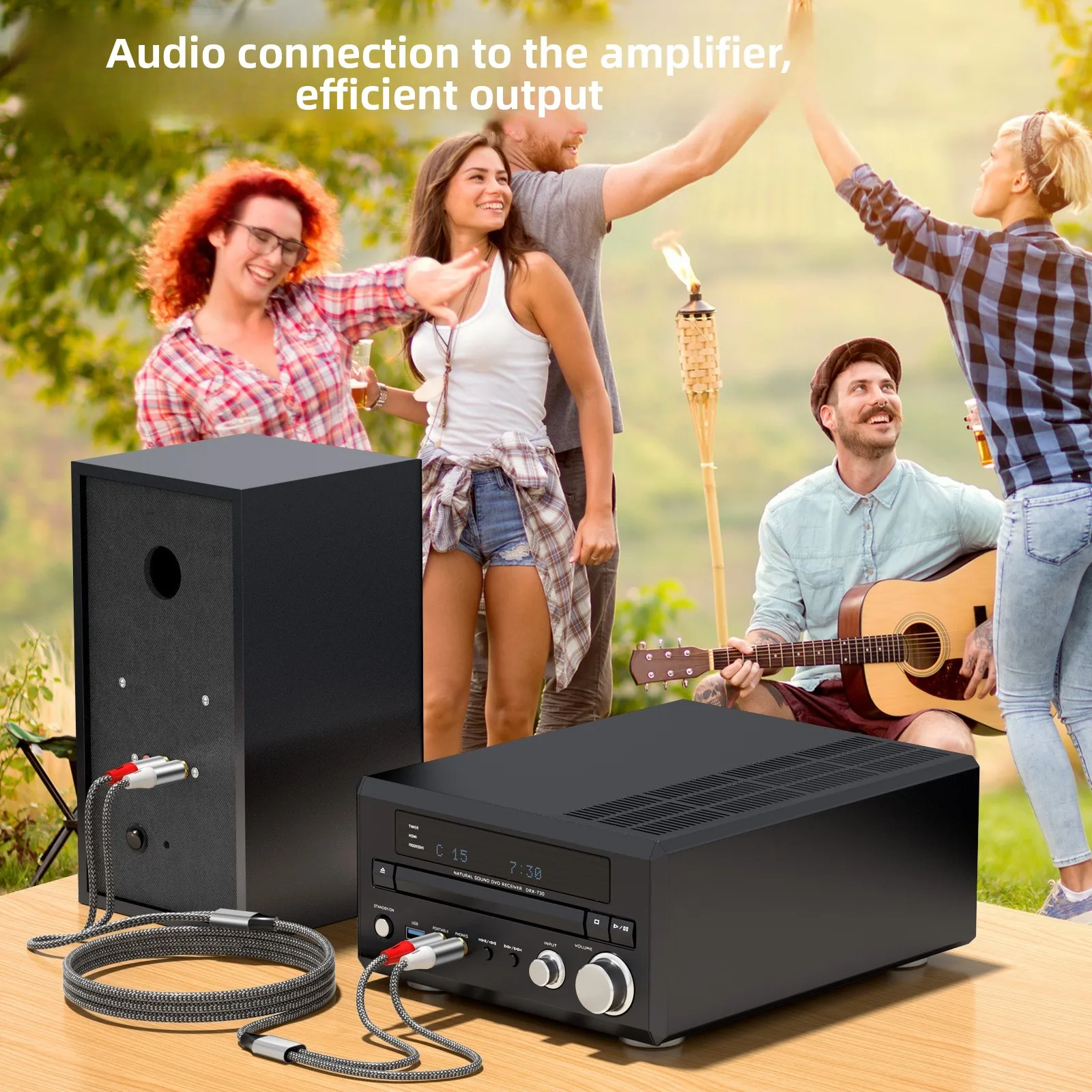 Двойной аудиокабель RCA, 2 пар – обзор и цена Home Cinema Subwoofer