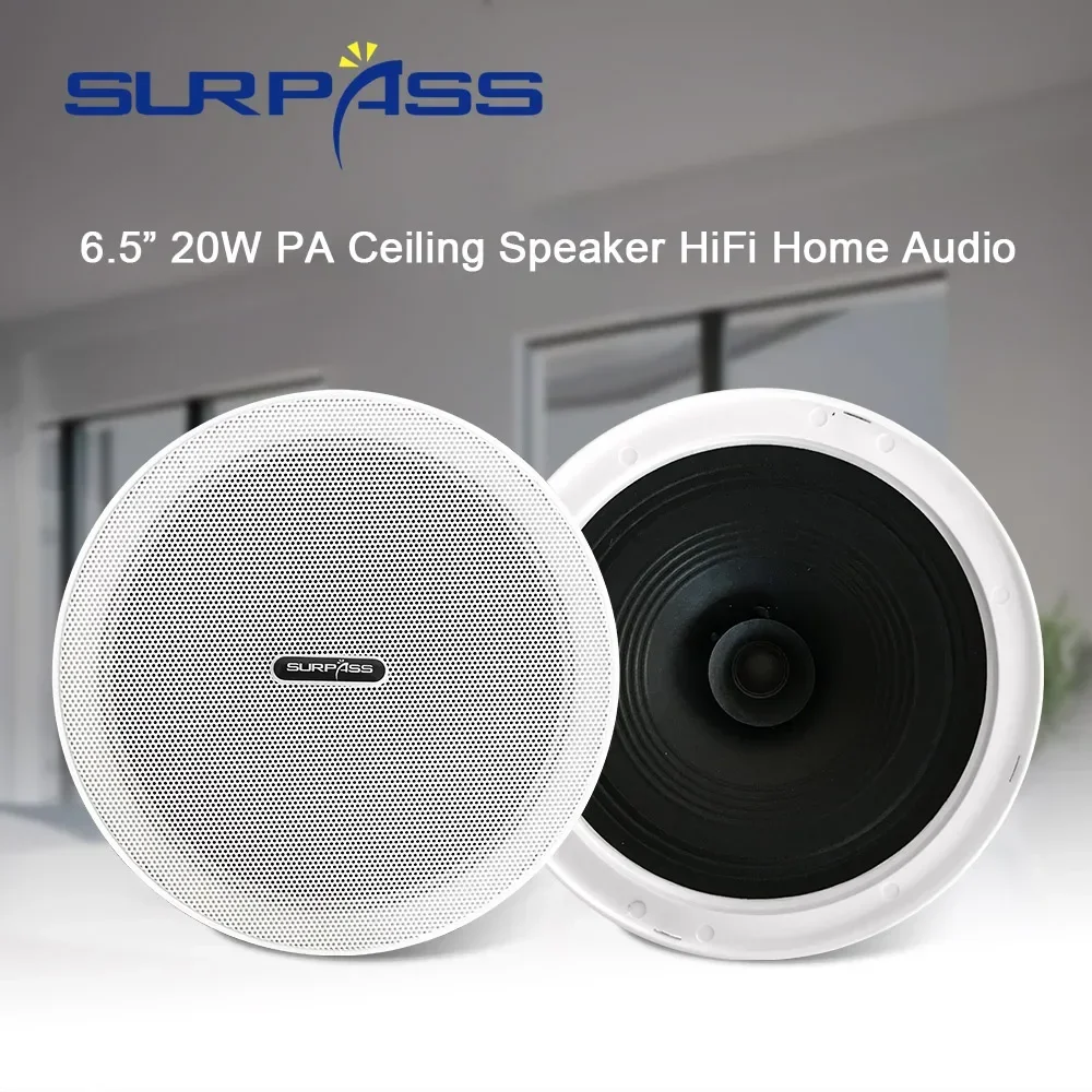 6,5-дюймовые потолочные колонк – обзор и цена Home Cinema System