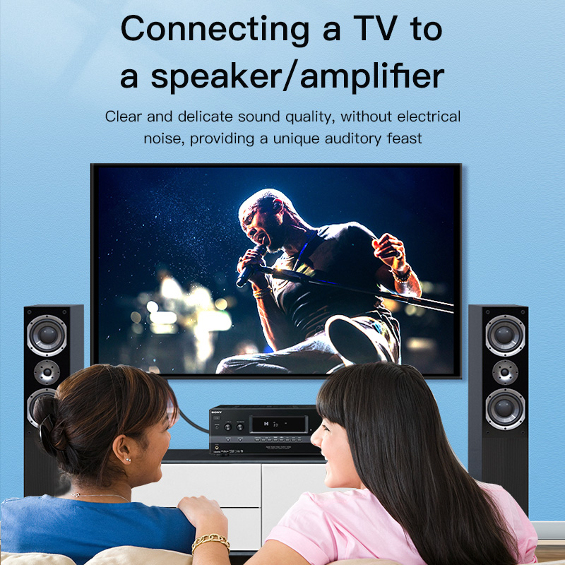 Кабель CHOSEAL RCA, цифровой к – обзор и цена Genius Home Cinema